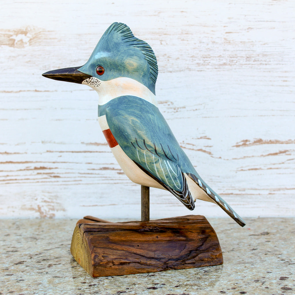 Hand Carved Male Bluejay Bird Life Sized Perched on Wood Stand – Darby  Creek Trading