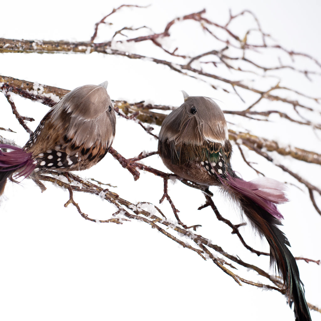 Red Cardinal and Blue Jay Backyard Birds Ceiling Fan or Light Pulls Set of  2 - Mary B Decorative Art