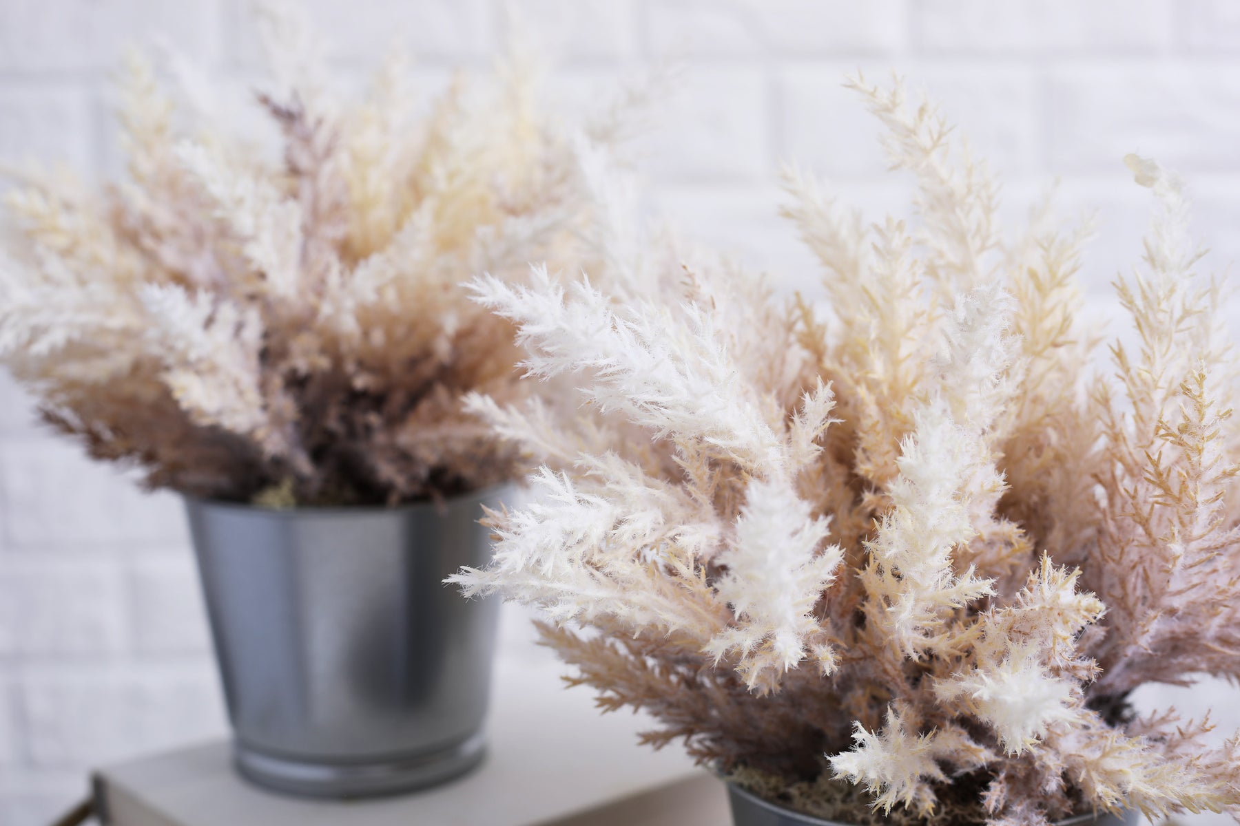 Bleached Pampas Grass Arrangement in Glass Bud Vase with Antiqued Gold –  Darby Creek Trading