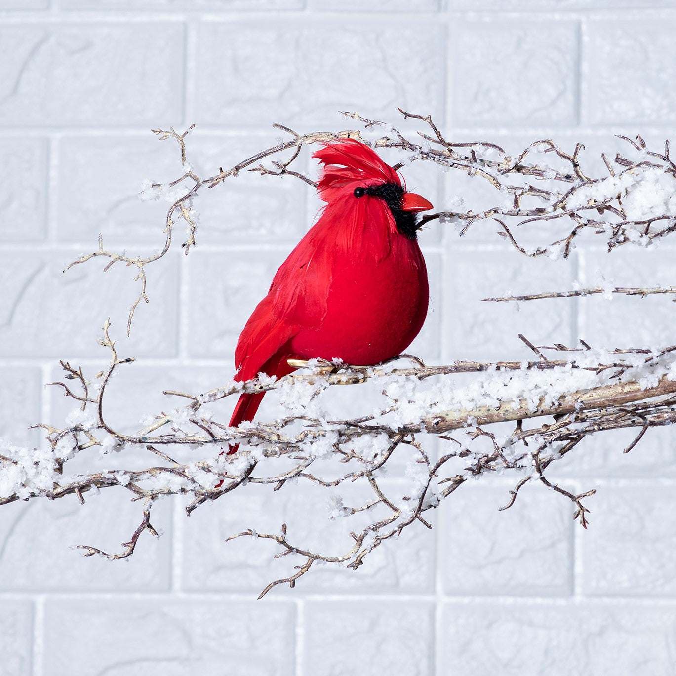 cardinal inventory manager