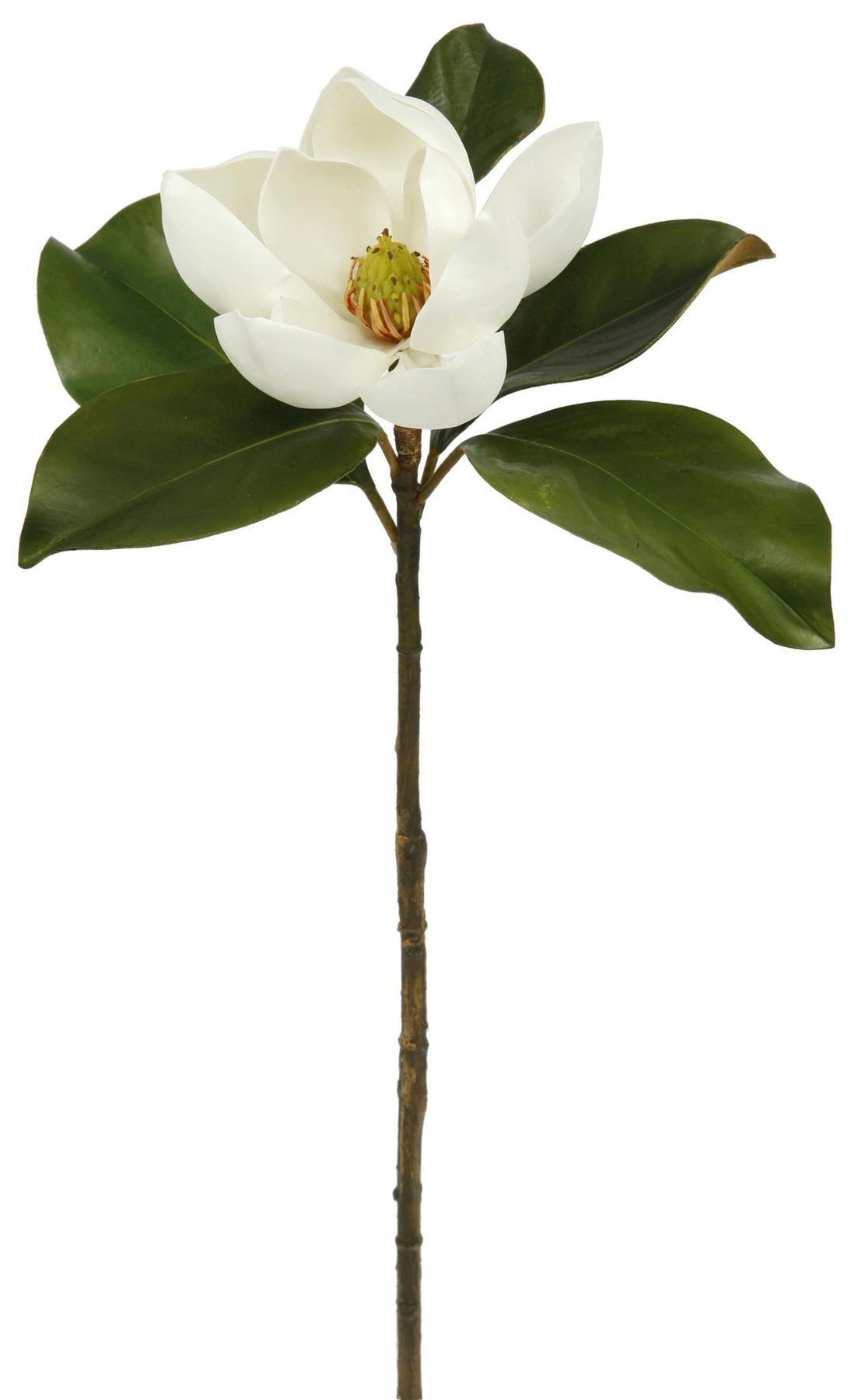 Real Touch Christmas Red Magnolia Small Bloom Floral Stem - 24 – Darby  Creek Trading