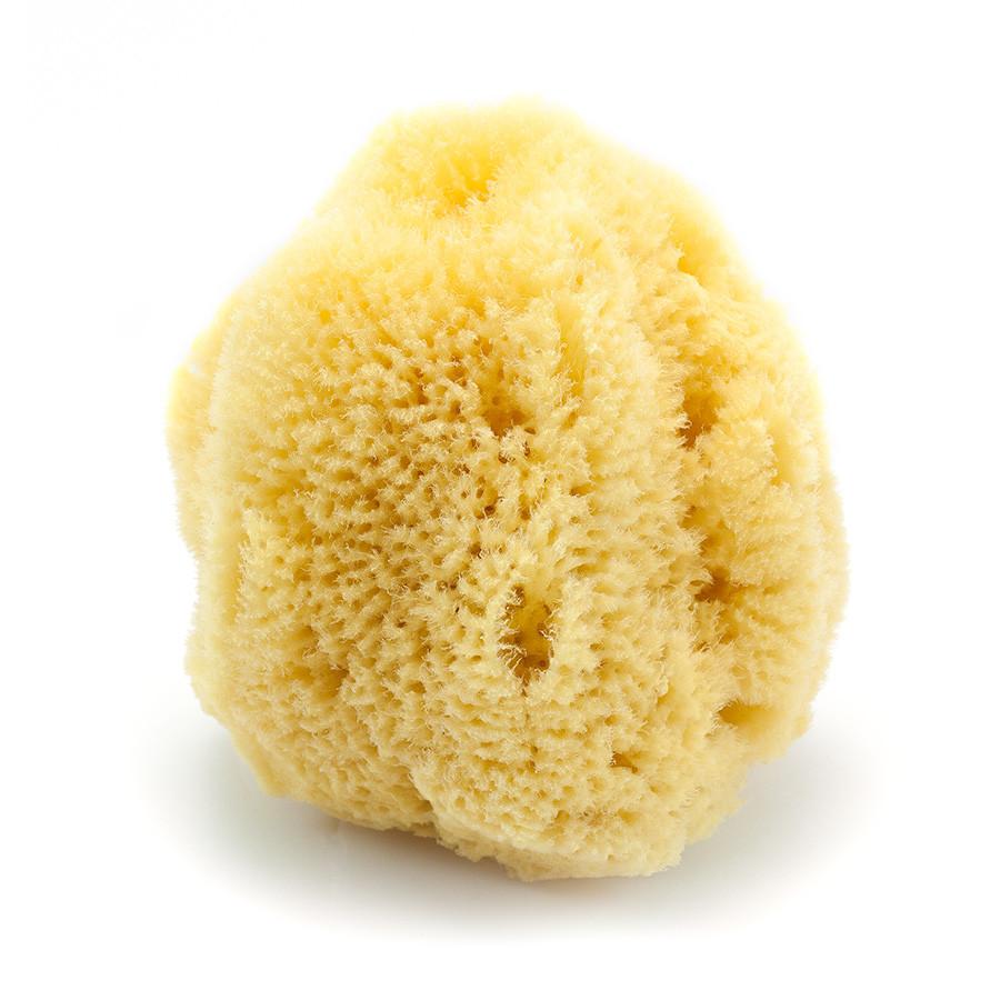 Caribbean Natural Sea Silk Facial Sponge, 4