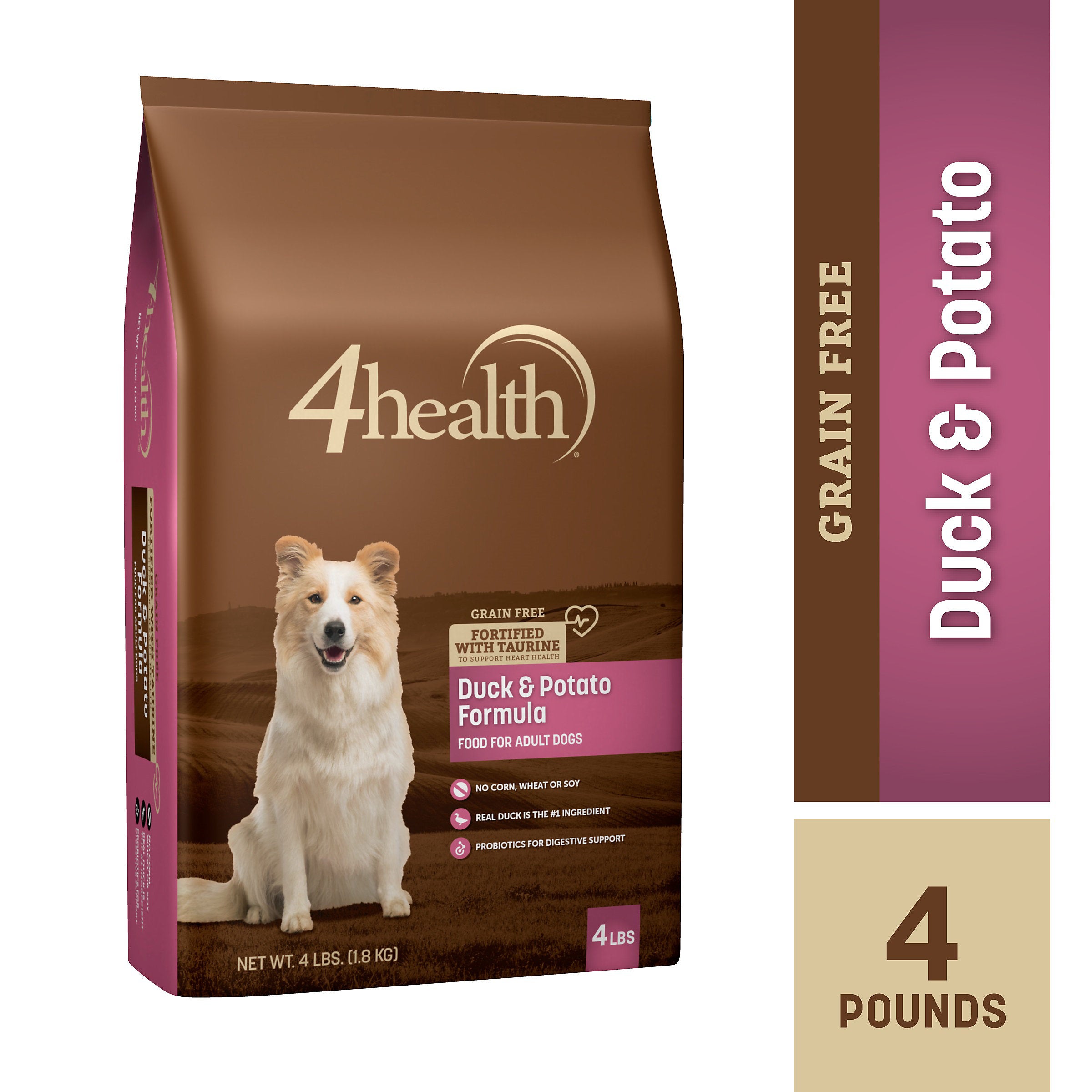 dry dog food with raw bites