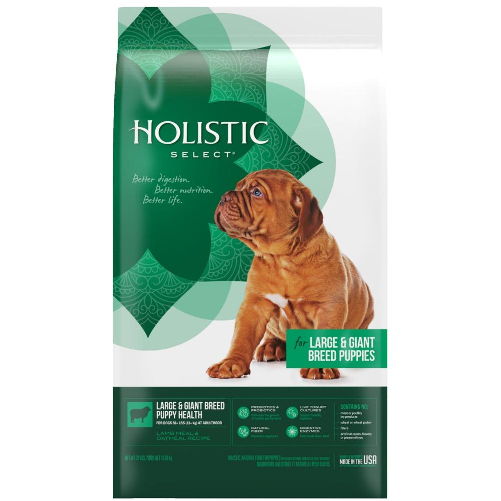 Holistic Select Natural Adult Health Large & Giant Breed Chicken