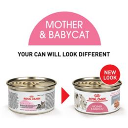 royal canin mother and baby cat canned food