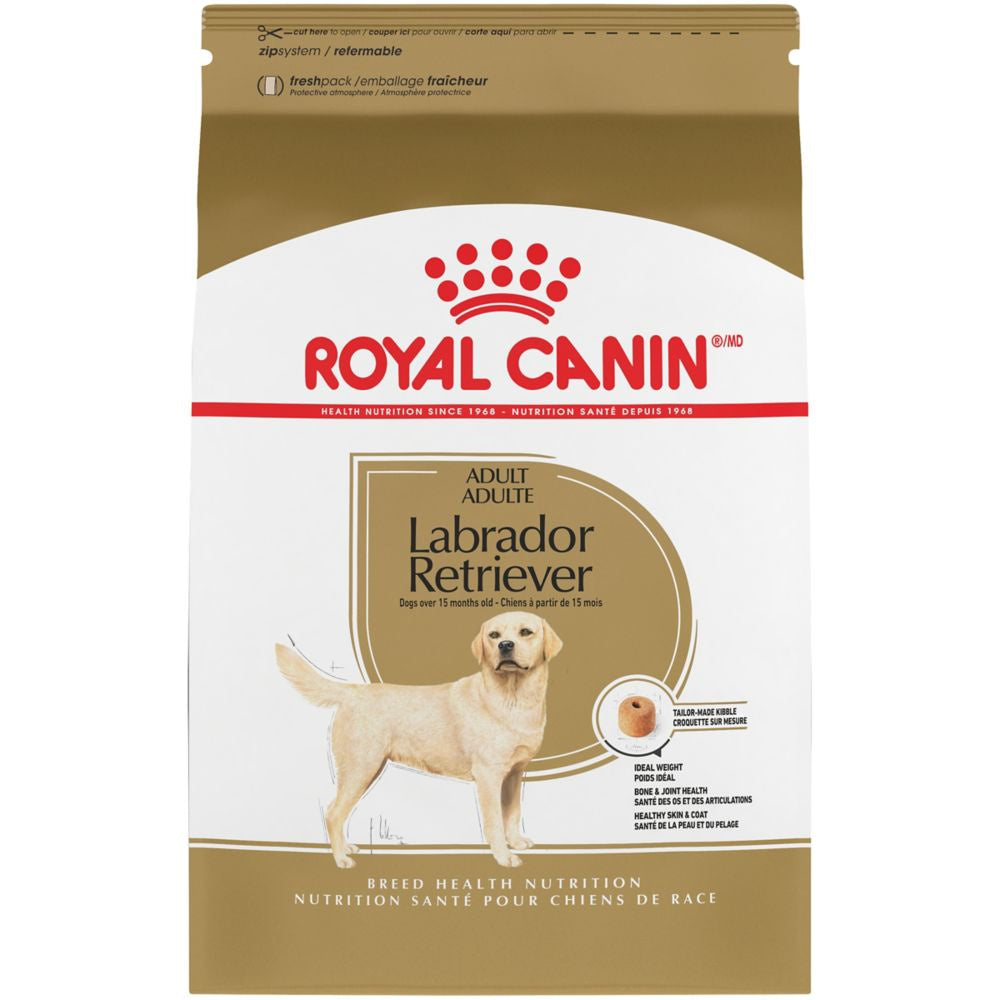 Speciaal Gewoon geïrriteerd raken Royal Canin Breed Health Nutrition Labrador Retriever Adult Dry Dog Fo –  Petsense