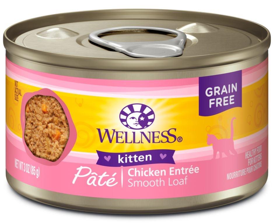 best healthy wet cat food