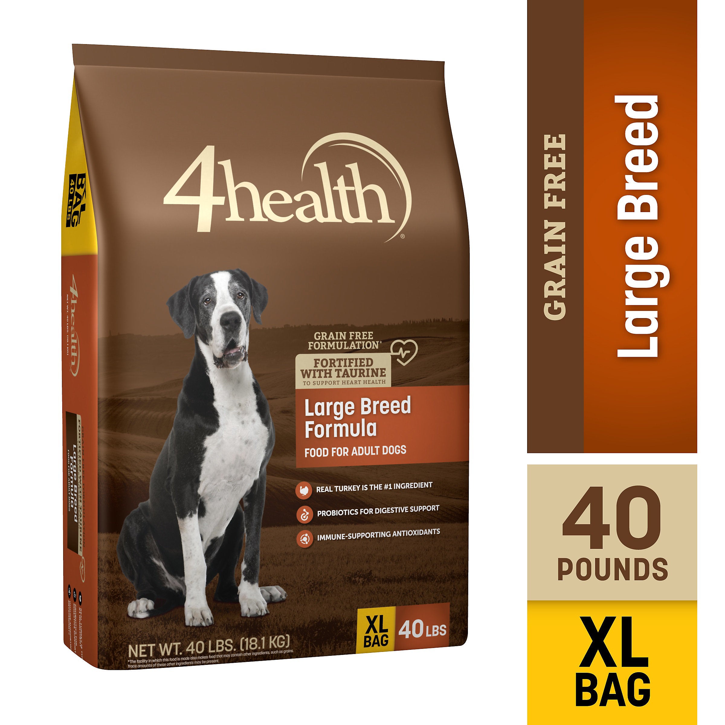 dry dog food that tastes good