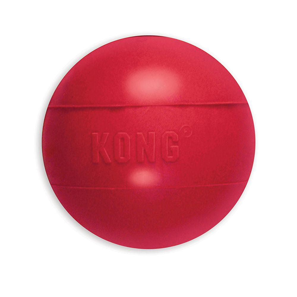 Kong Saftex Dog Fetch Toy, Assorted, S