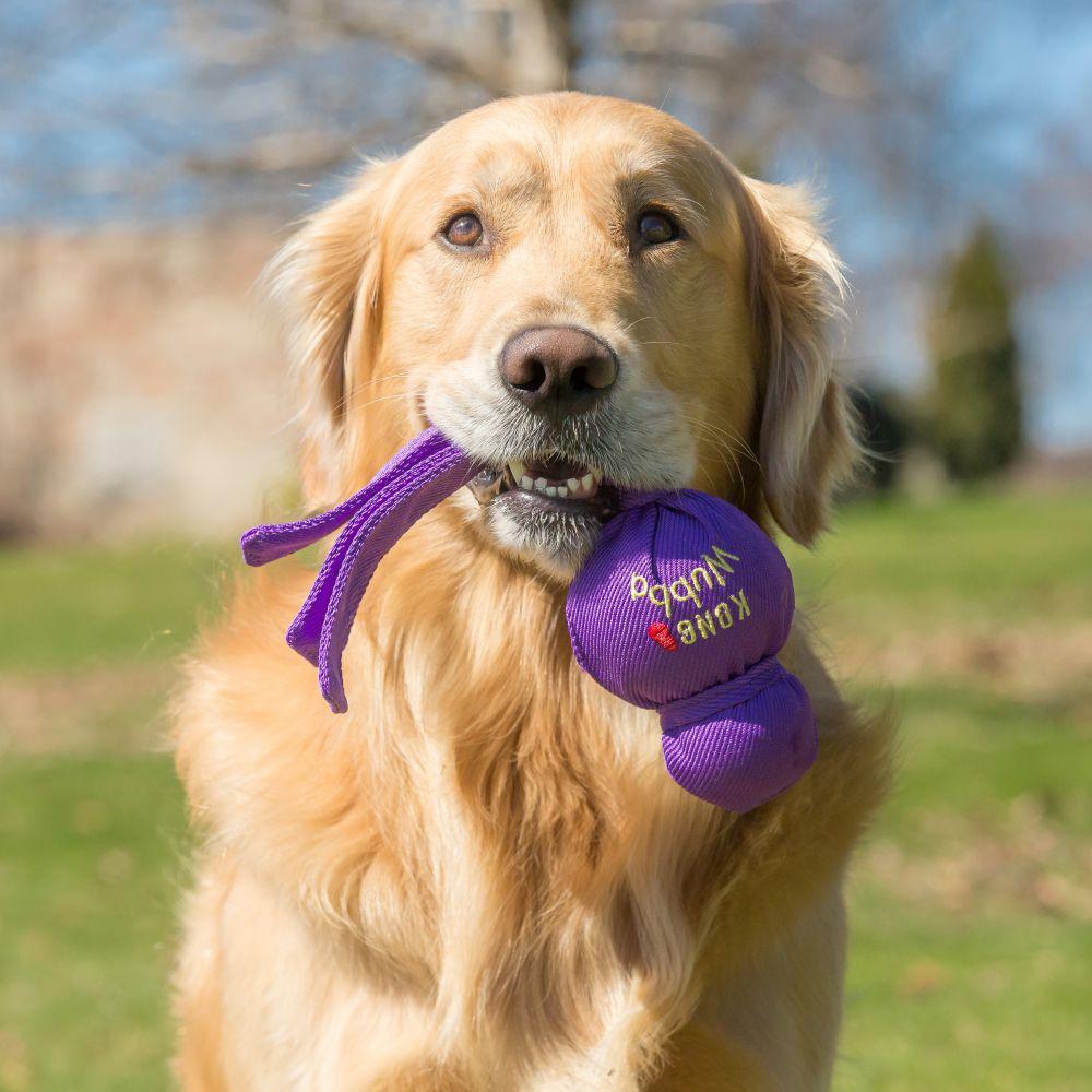 KONG Wubba Classic Dog Toy – Petsense