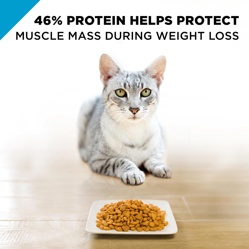 purina pro plan weight management cat wet
