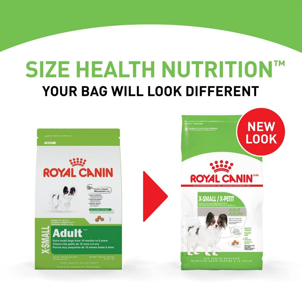 royal canin xsmall adult