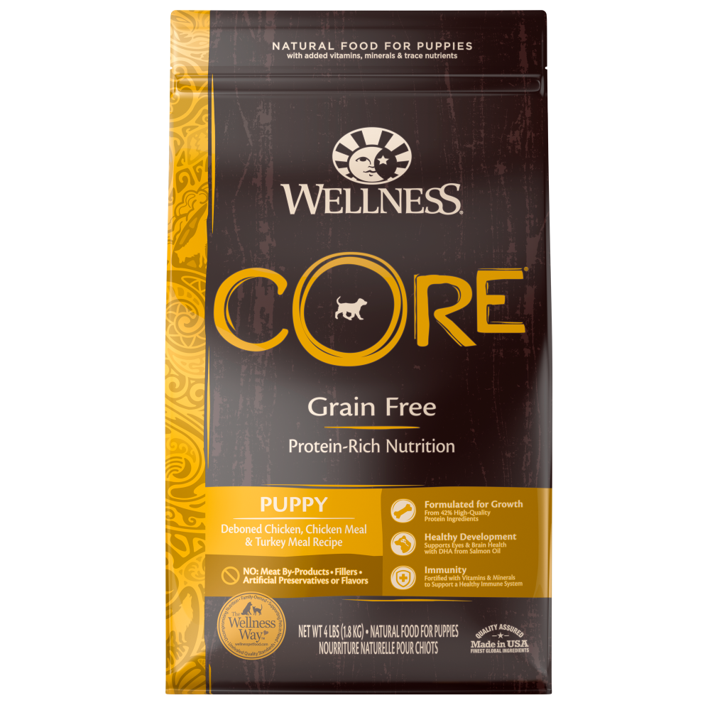 Wellness core grain free senior sales dog food