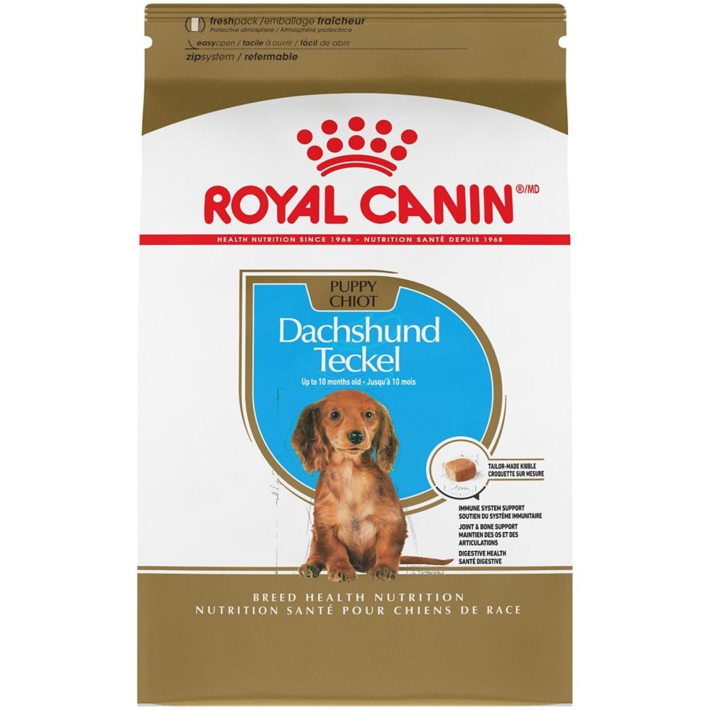 Neem de telefoon op bron Christendom Royal Canin Breed Health Nutrition Poodle Puppy Dry Dog Food – Petsense