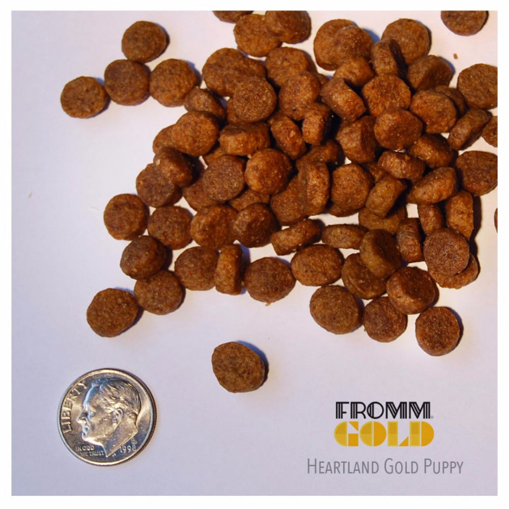 is fromm gold puppy food grain free