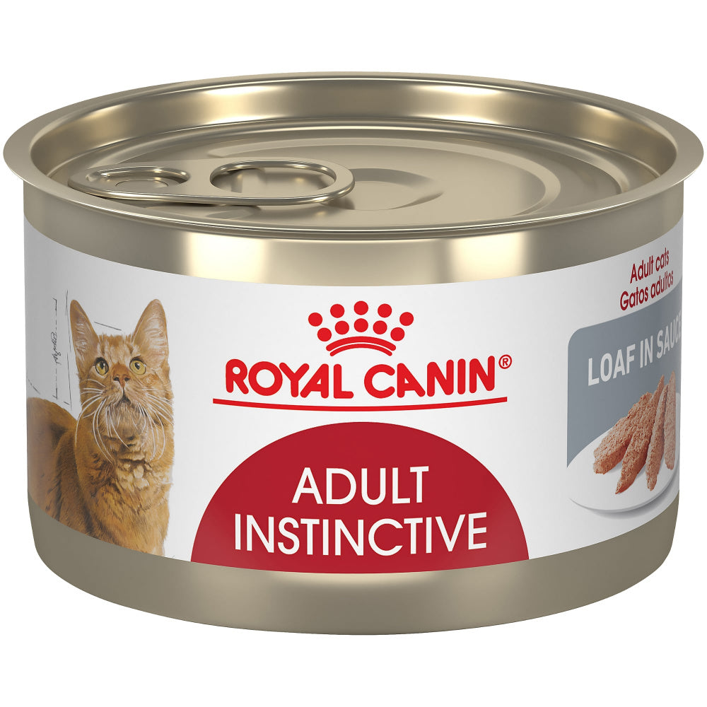 Canin cat clearance food online