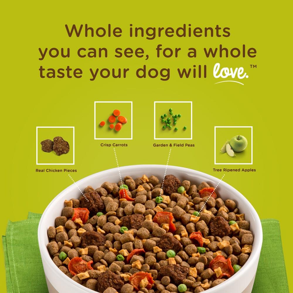 rachel ray delish dog food