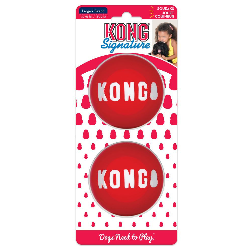 KONG ChiChewy Ball Dog Toy Assorted Small 035585498072