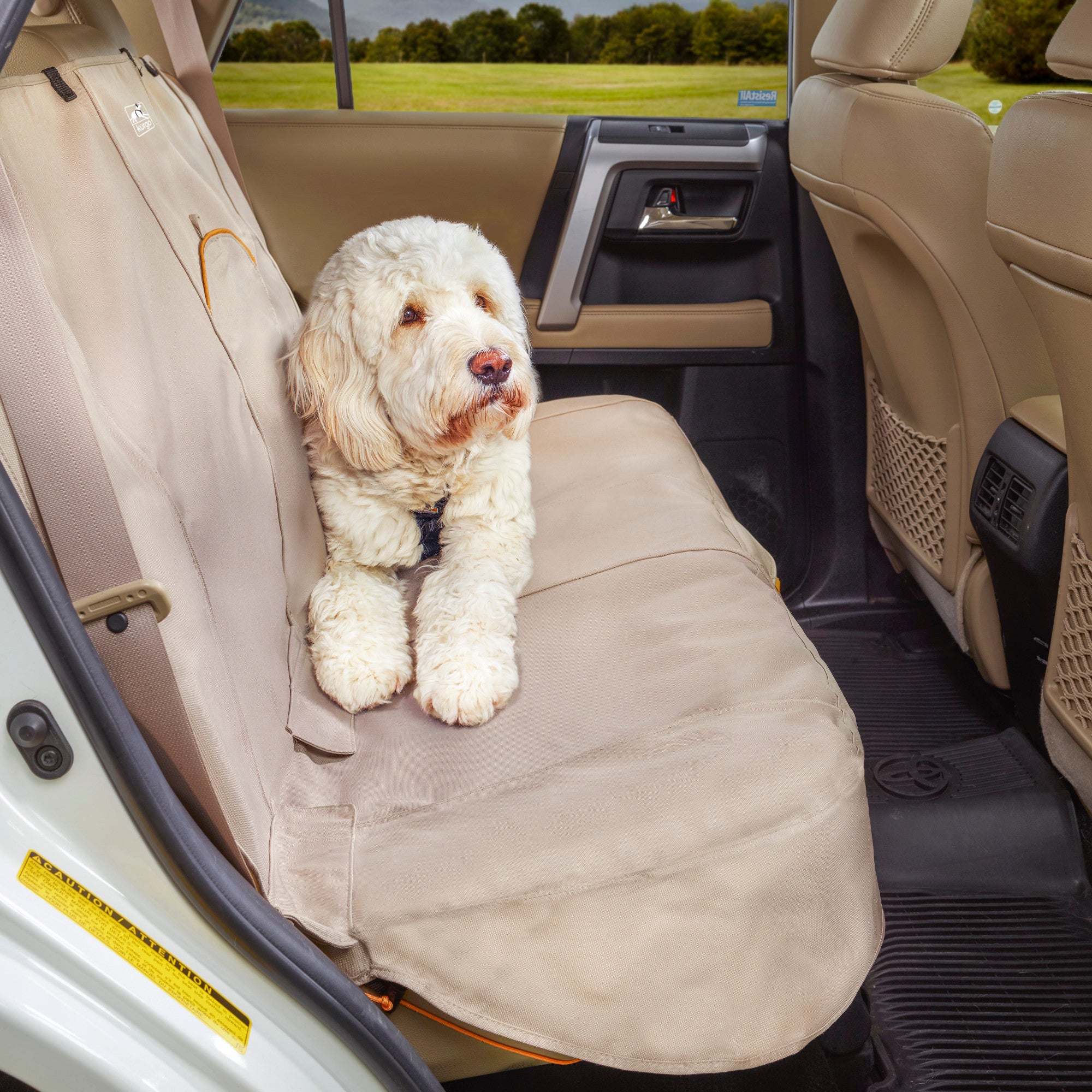 Car Seat for Dogs  Heather Dog Booster Seat by Kurgo