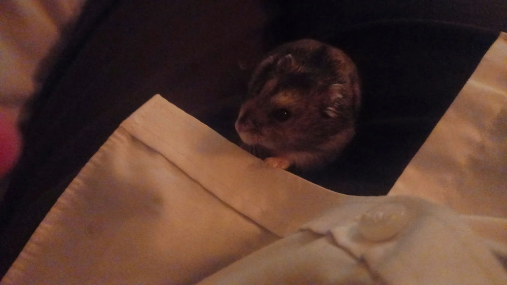 Hector