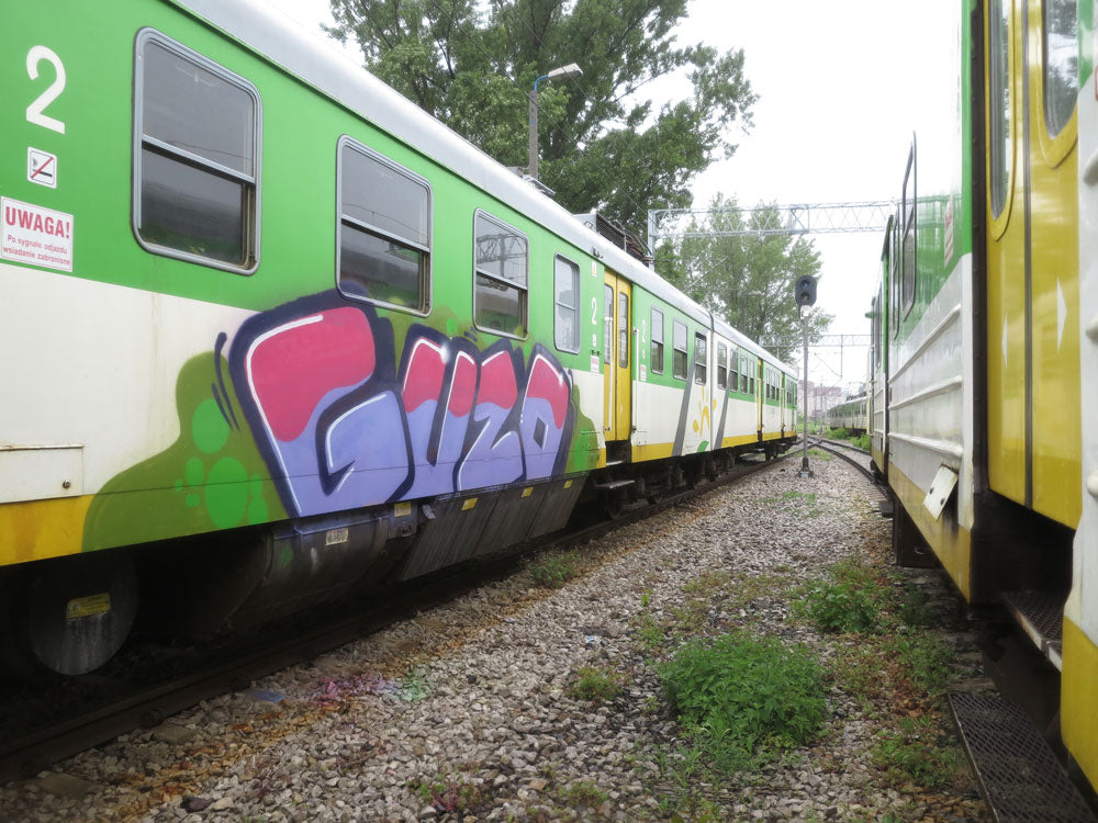 GUZO Warsaw train graffiti