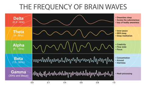 Chart explaining the frequency of brain waves and what function they usually serve