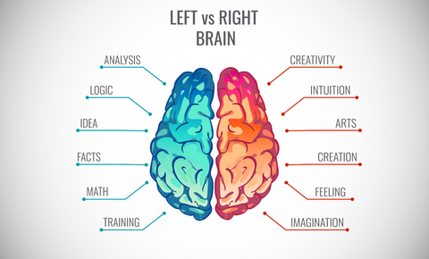 Image of a brain that showcases the functions that the left and the right side are responsible for.