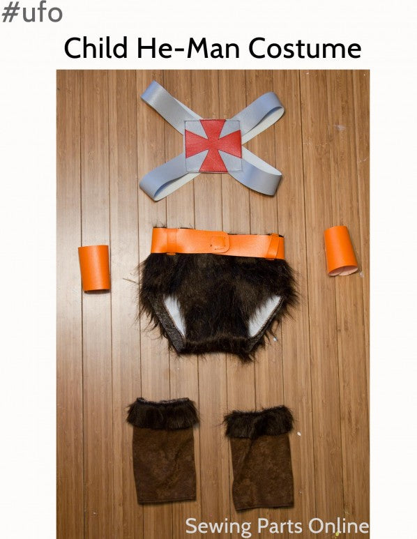 He-man costume 1