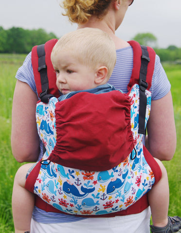 tula standard baby carrier