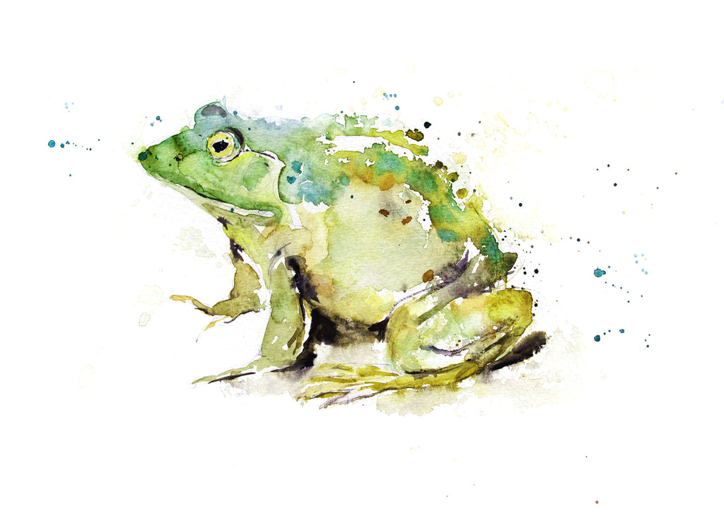 Image result for watercolor bullfrog