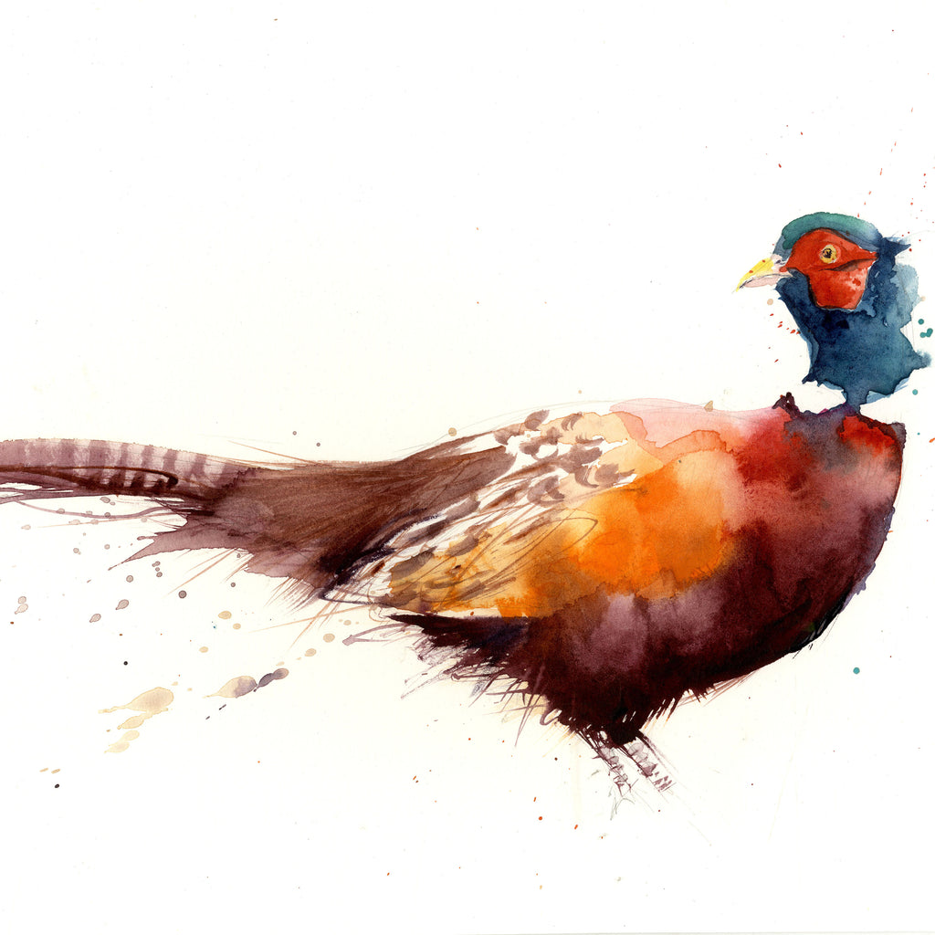 LIMITED EDITON cheeky pheasant watercolour print