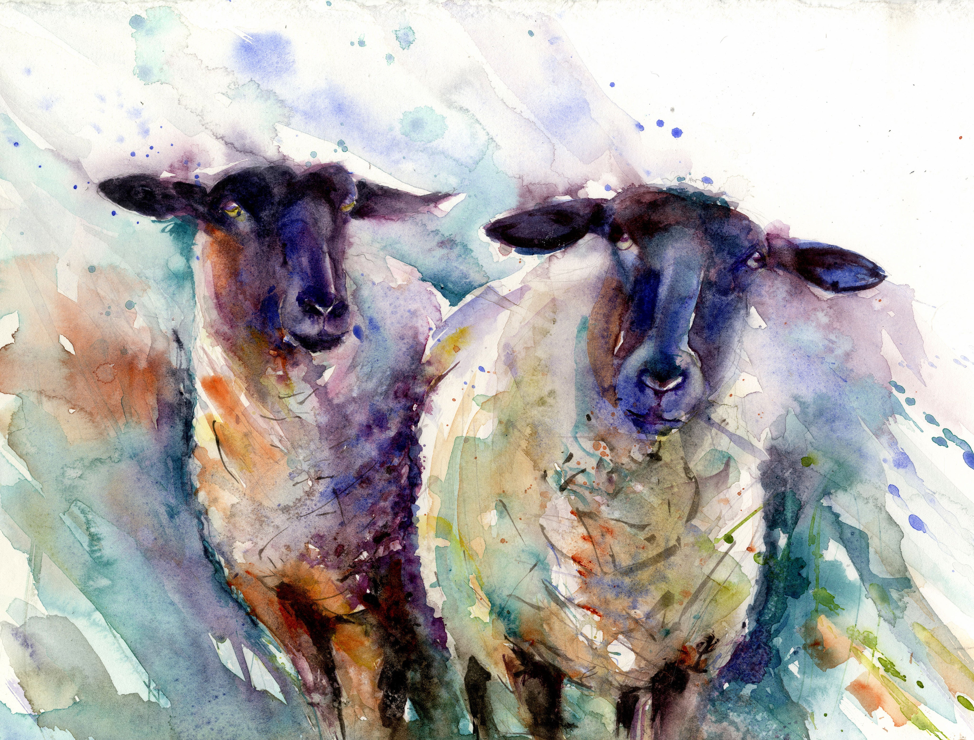 home products limited edition print of original 2 ewes sheep painting