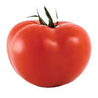 Tomato_-Hybrid1_grande.png?v=1427624811.png