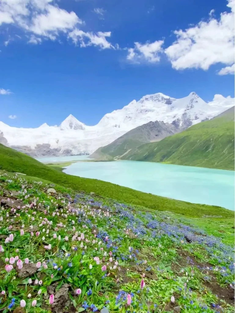 Tibet Snow Mountain
