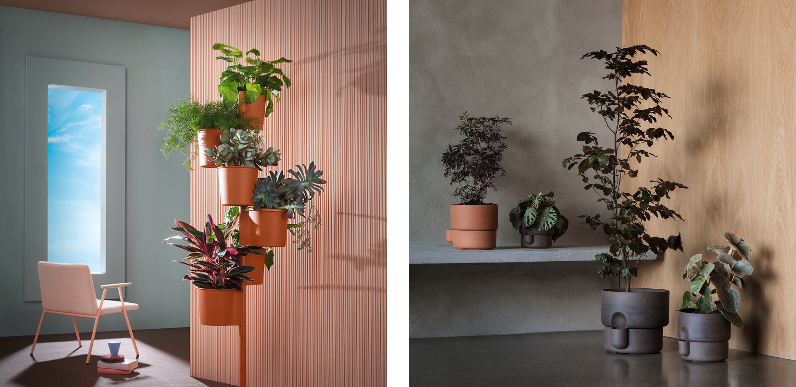 Pedrali Hevea Plant Stand & Northern Oasis Flowerpot