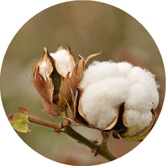affina organic cotton products