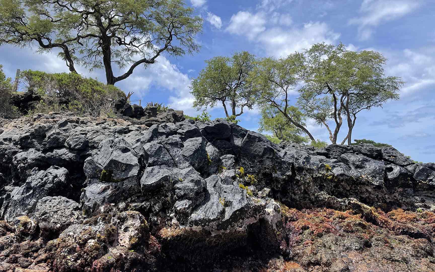 the natural beauty of hawaii