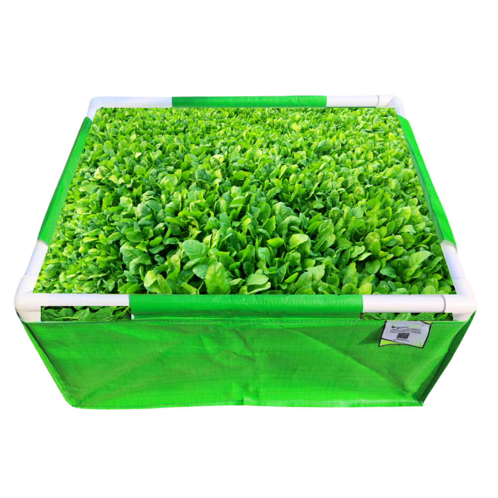Amazon.com : UHBGT Plant Grow Bags, 3 x 6 Ft Fabric Raised Garden Beds 8  Grids Divided Raised Vegetable Bed Raised Bed Planters Heavy Duty Rectangle  Garden Planter Bags for Garden Vegetables