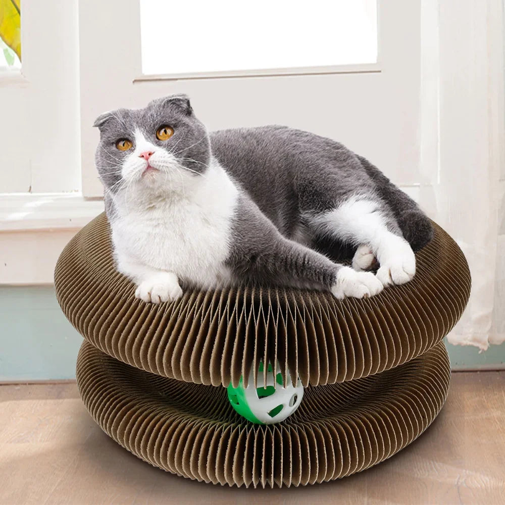 Foldable Magic Organ Cat Scratching Board - Interactive Toy & Bed