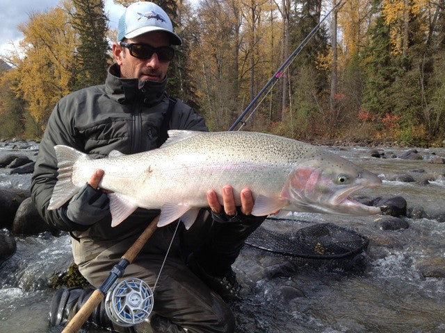 I have an old Vector 8.5 foot, 5 weight fly rod, and I was looking