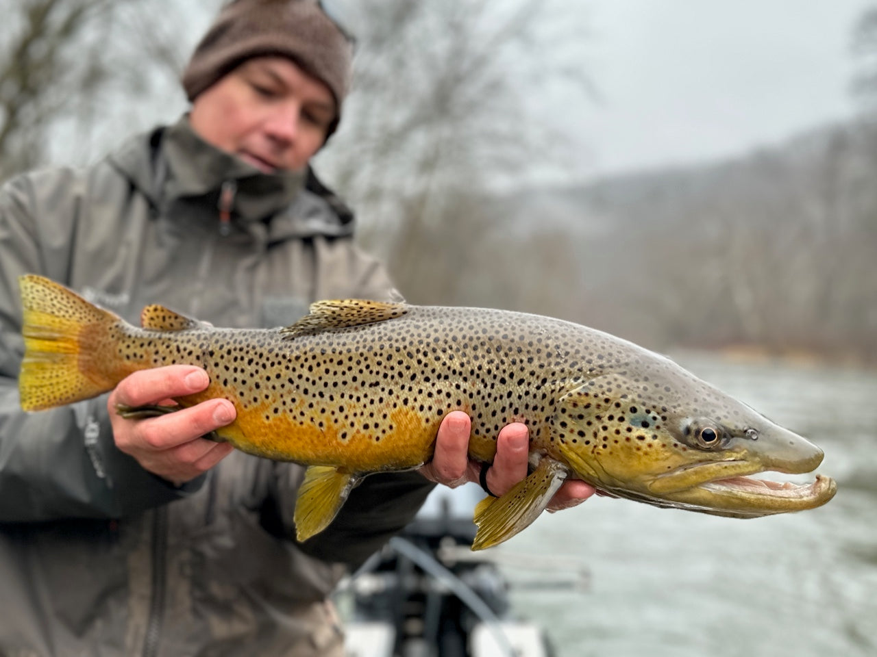 Man with beanie and jacket holding large brown trout out of the river.