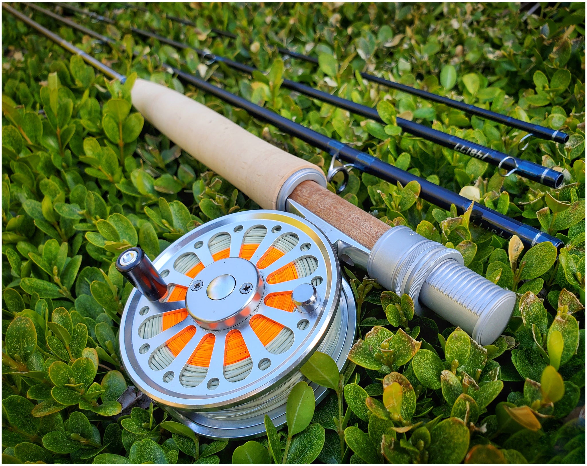 What are the differences? Fly Rod vs Spinning Rod • Fly Fishing