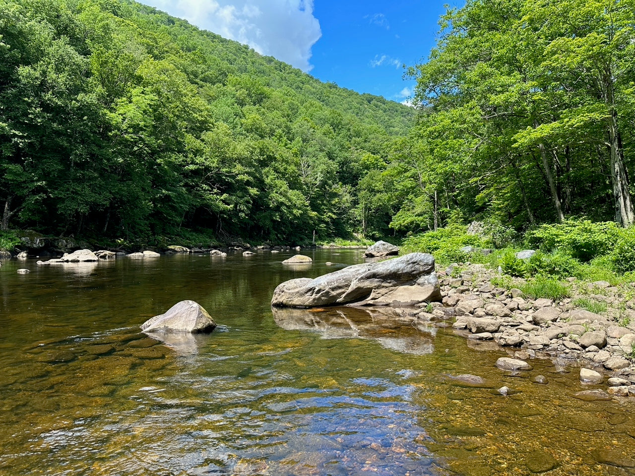 Outdoor landscape photo featuring a stream with pronounced rocks in the water lined with bright, full trees from New England.