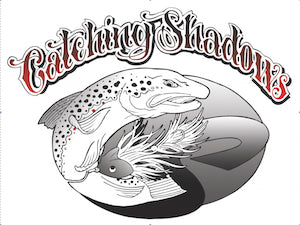 Richard Strolis's book Catching Shadows