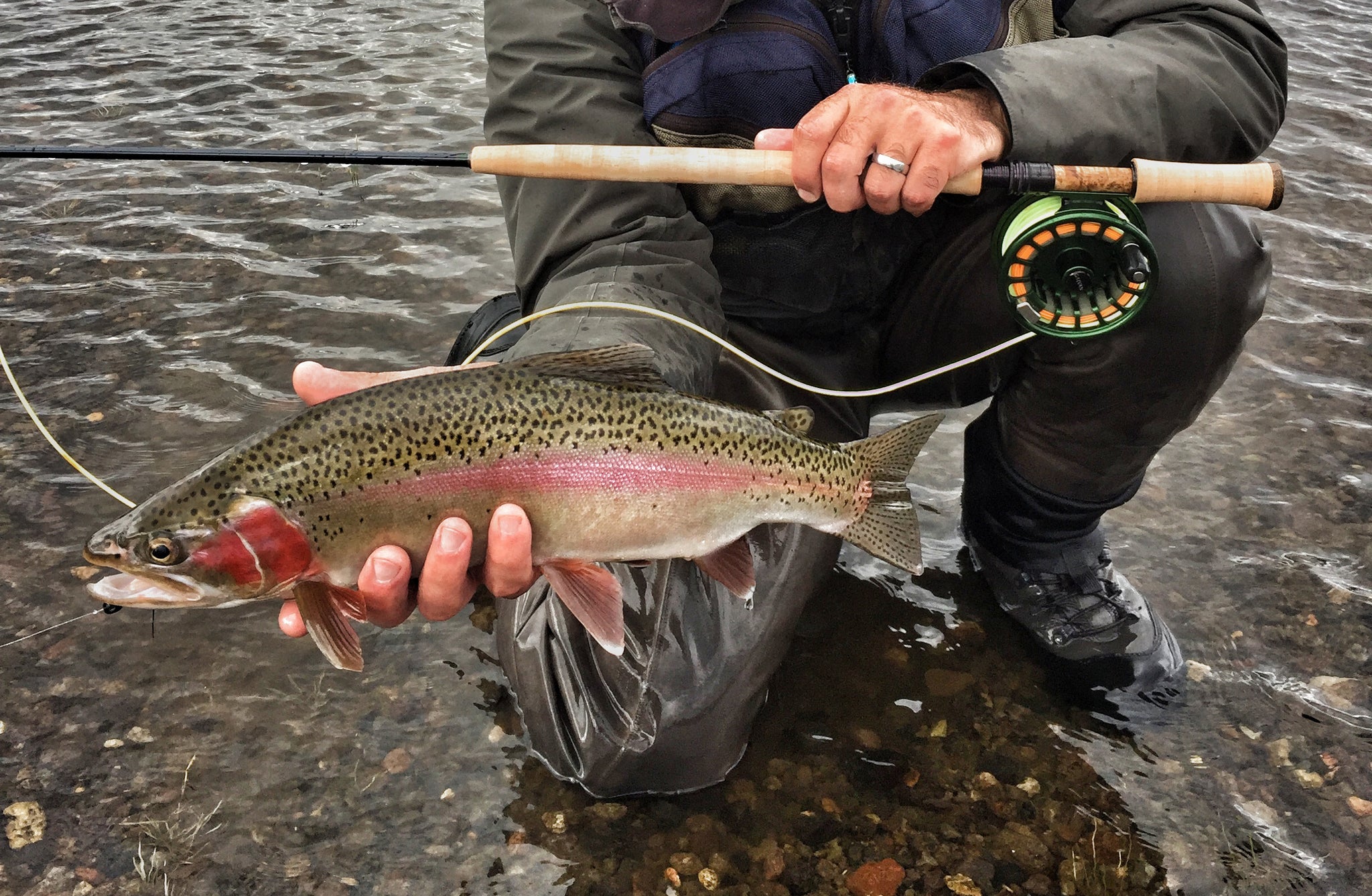 Emergence: Gearing Up For Spring and Early Summer Fishing in