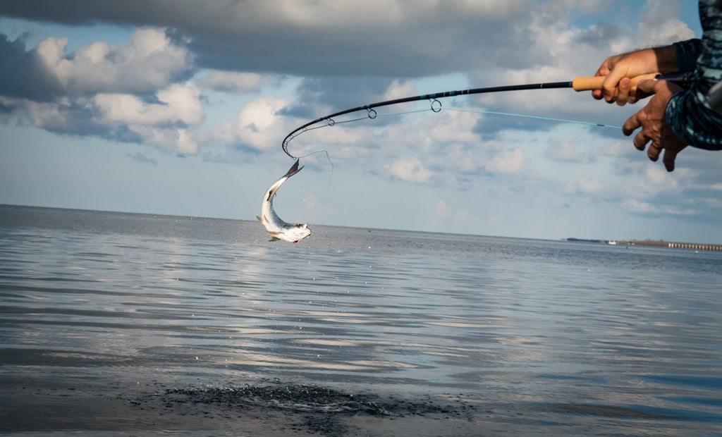 Fly Fishing the Southeast: Fly Rods and Set-Ups For Inshore