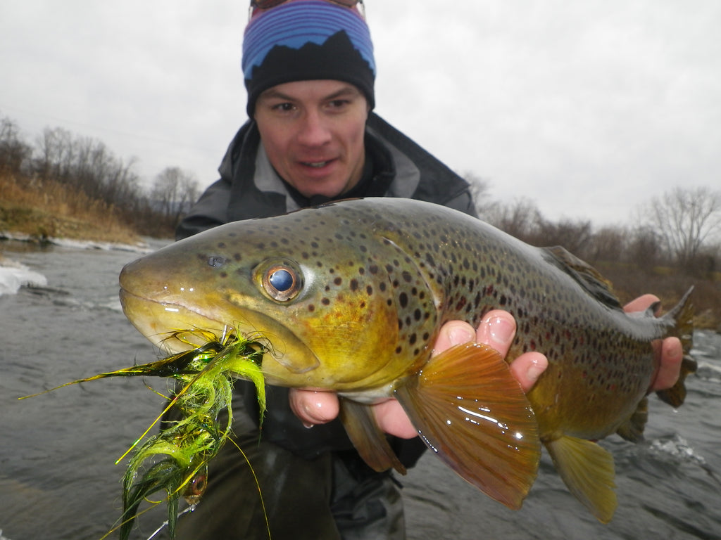 Richard Strolis Thomas & Thomas advisor catches a beautiful brown with streamer. 