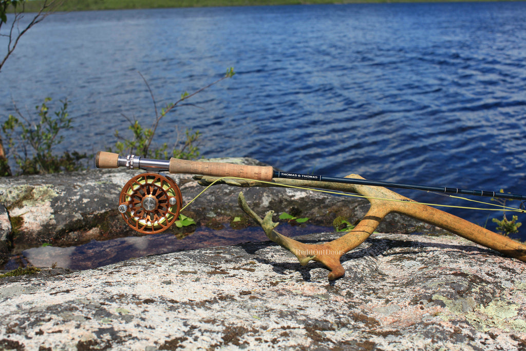 Thomas & Thomas Fly Rod resting on rocks next to a water source