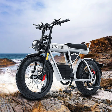 Coswheel electric bike price hotsell