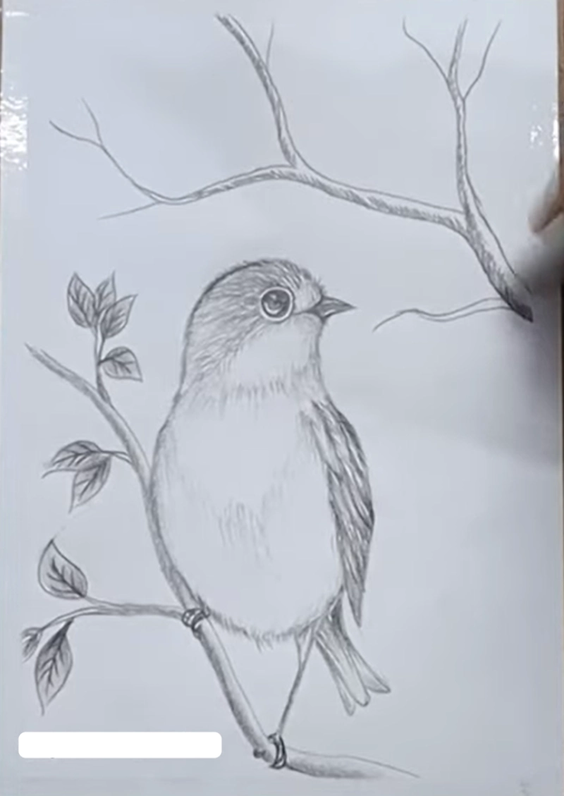 Adding background details
